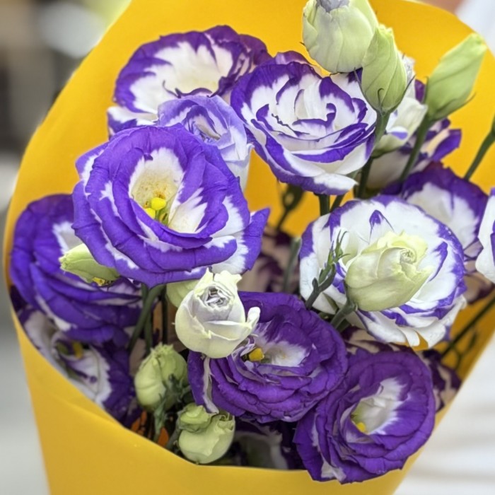 Букет из 5 бело-фиолетовых эустом