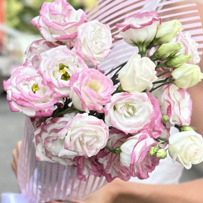 Букет из 5 бело-розовых эустом