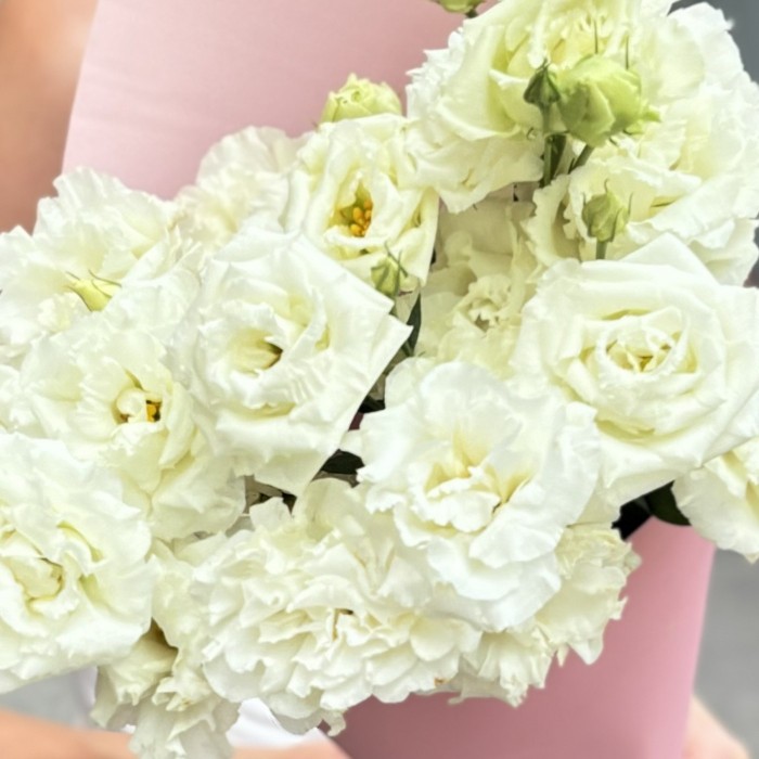 Букет из 5 белых махровых эустом