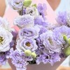 Букет из 5 лавандовых махровых эустом
