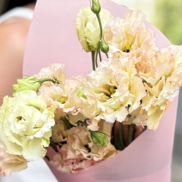 Букет из 5 махровых эустом Шампань