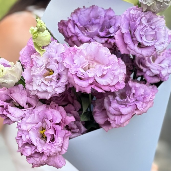 Букет из 5 махровых лавандовых эустом