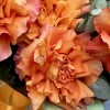 Букет из 5 пышных роз Фри Спирит с эвкалиптом 50 см