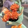 Букет из 5 пышных роз Фри Спирит с эвкалиптом 50 см