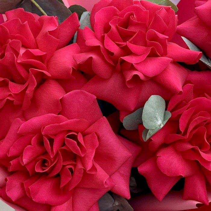 Букет из 5 пышных роз Пинк Флойд с эвкалиптом