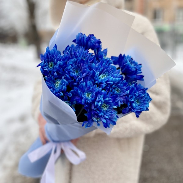 Букет из 5 синих кустовых хризантем