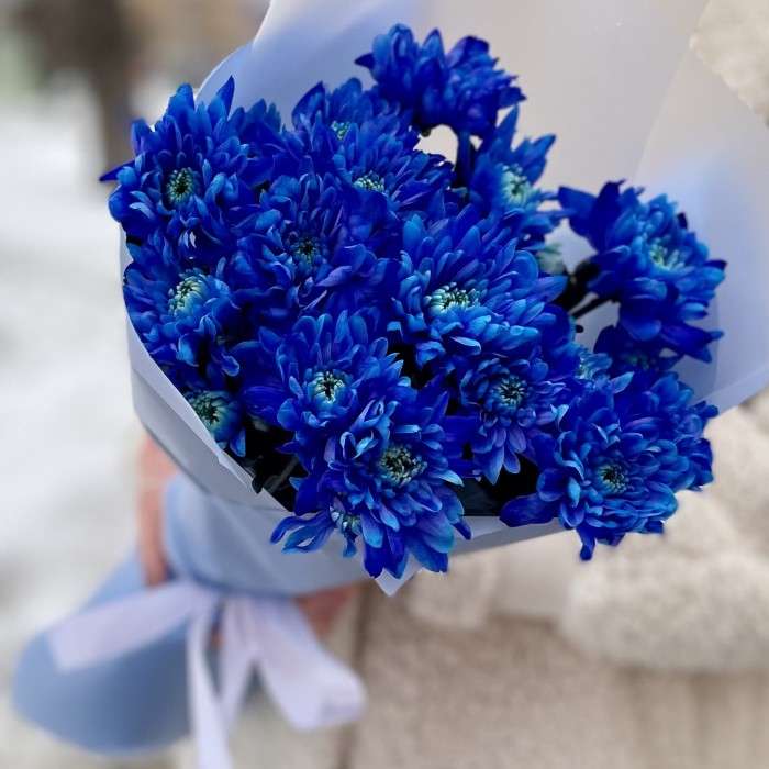 Букет из 5 синих кустовых хризантем