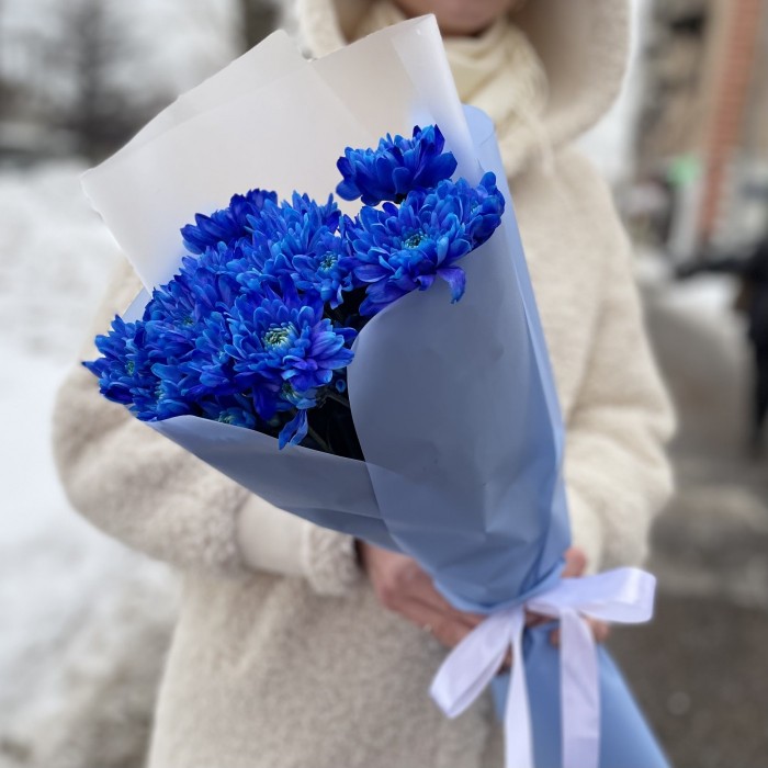 Букет из 5 синих кустовых хризантем