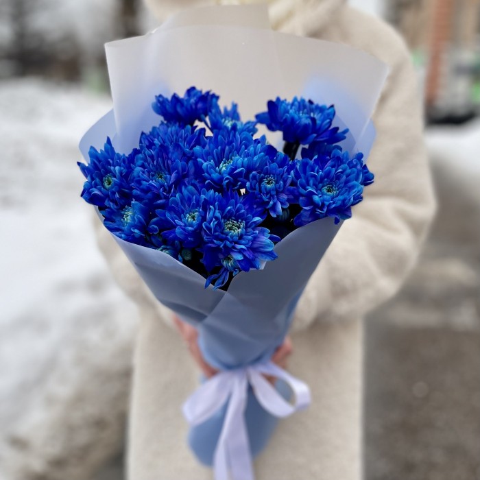 Букет из 5 синих кустовых хризантем