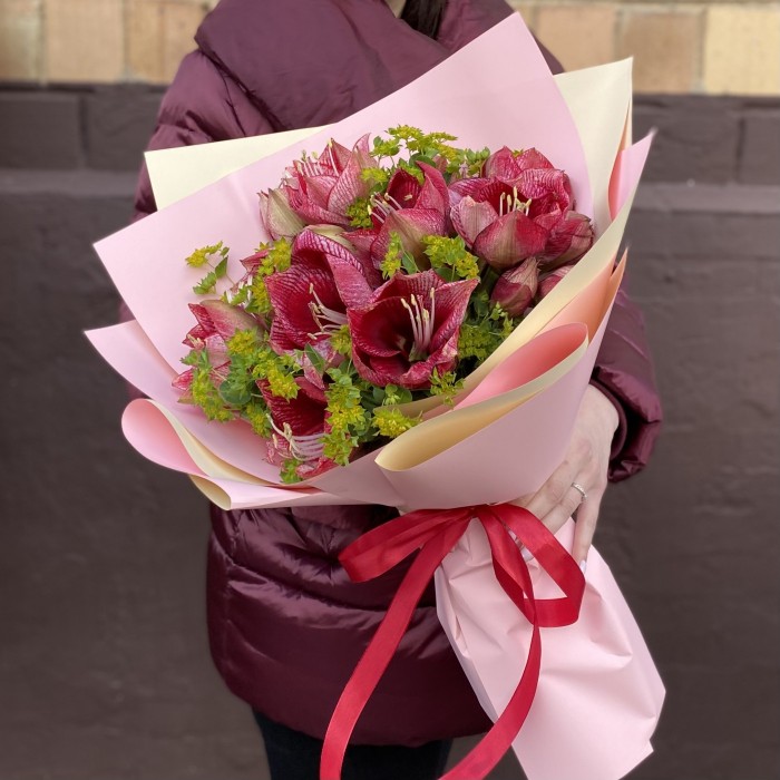 Букет из 7 красно-белых амариллисов с буплерумом