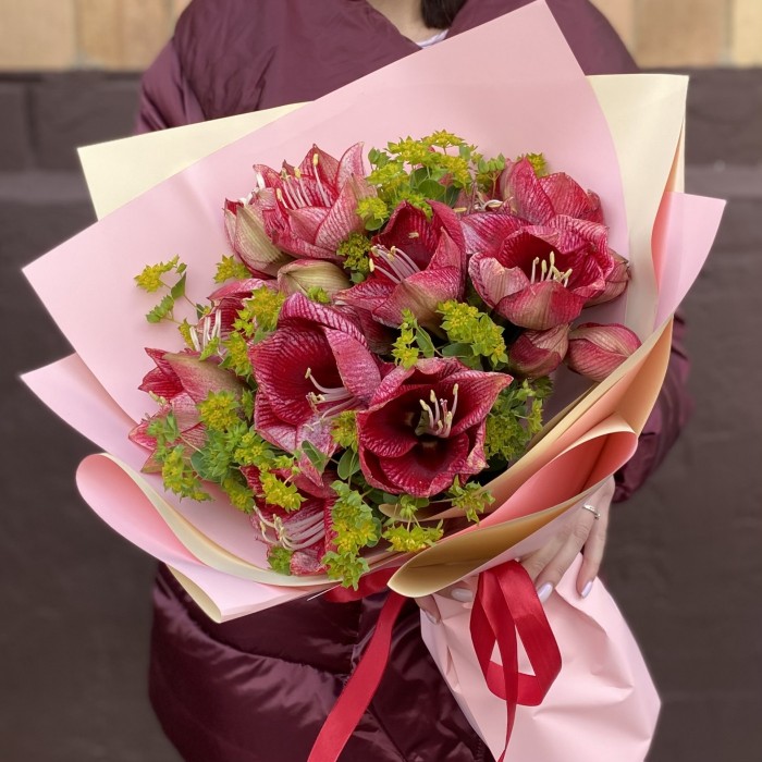 Букет из 7 красно-белых амариллисов с буплерумом