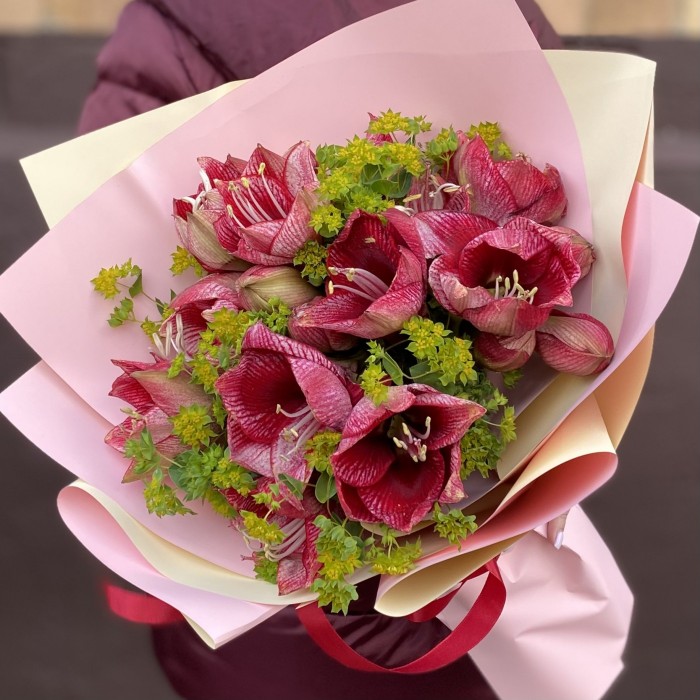 Букет из 7 красно-белых амариллисов с буплерумом