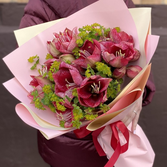 Букет из 7 красно-белых амариллисов с буплерумом