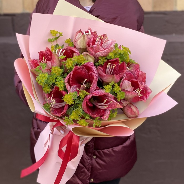 Букет из 7 красно-белых амариллисов с буплерумом