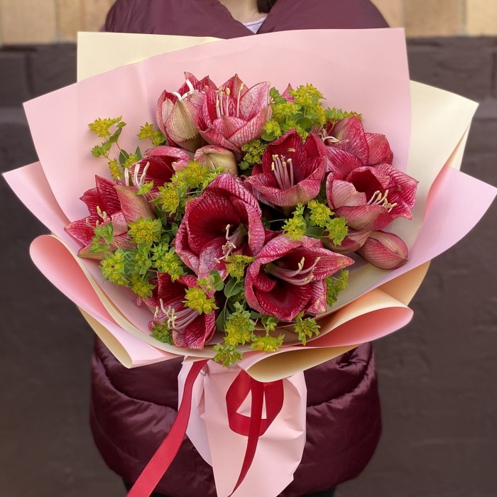 Букет из 7 красно-белых амариллисов с буплерумом