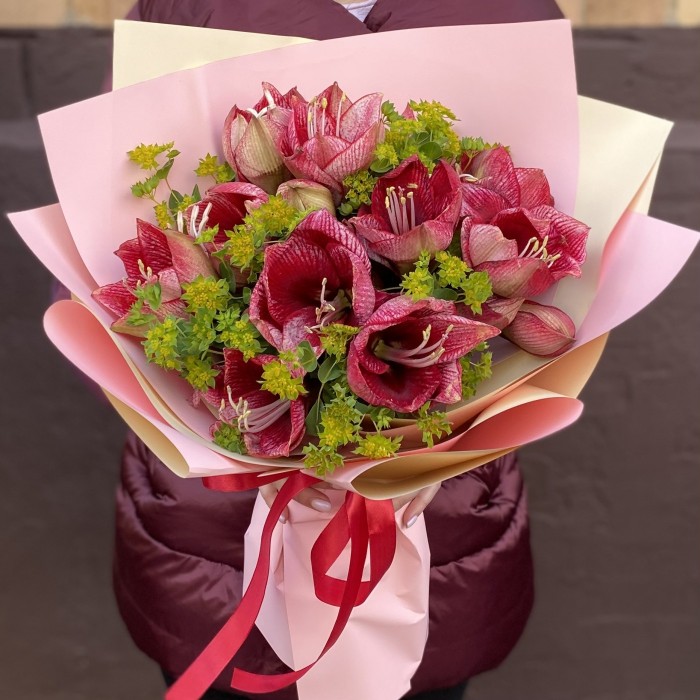 Букет из 7 красно-белых амариллисов с буплерумом