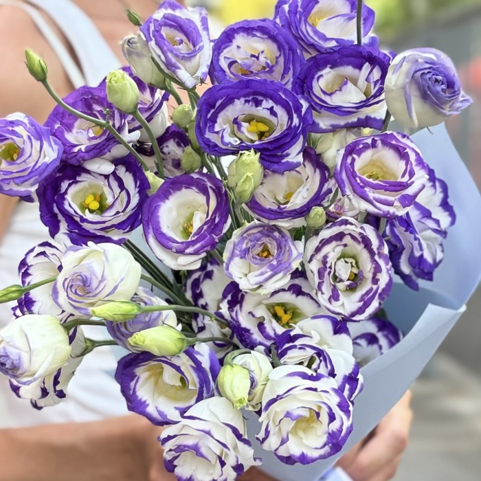 Букет из 7 бело фиолетовых эустом