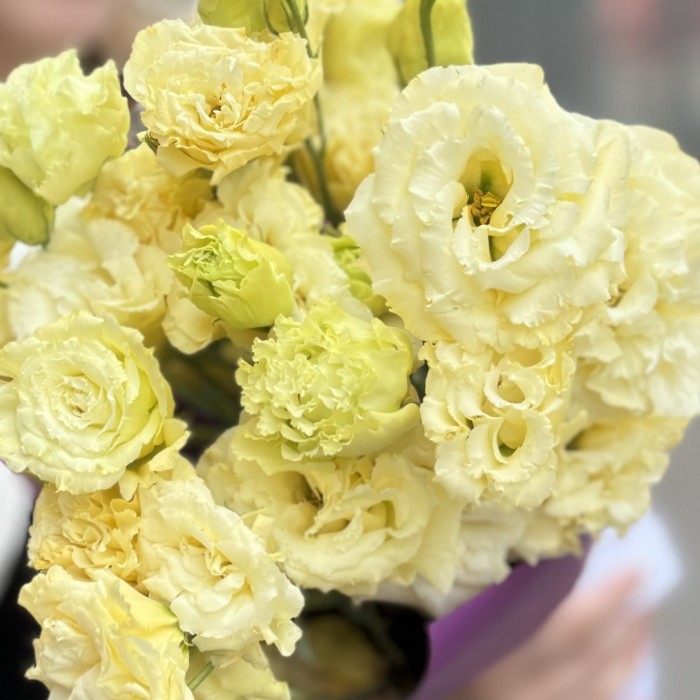 Букет из 7 махровых кремовых эустом