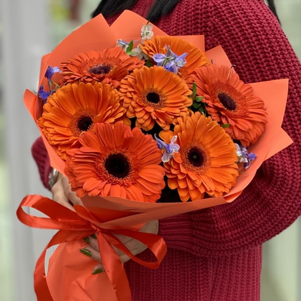Букет из 7 оранжевых гербер с дельфиниумом