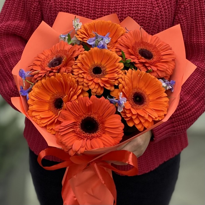 Букет из 7 оранжевых гербер с дельфиниумом