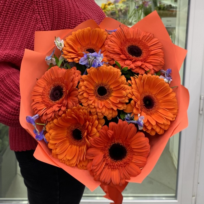 Букет из 7 оранжевых гербер с дельфиниумом