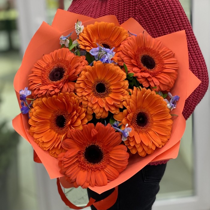 Букет из 7 оранжевых гербер с дельфиниумом