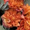 Букет из 7 пышных роз Фри Спирит с эвкалиптом 50 см