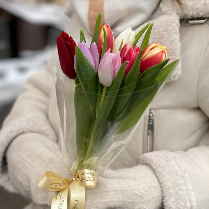 Букет из 7 тюльпанов микс