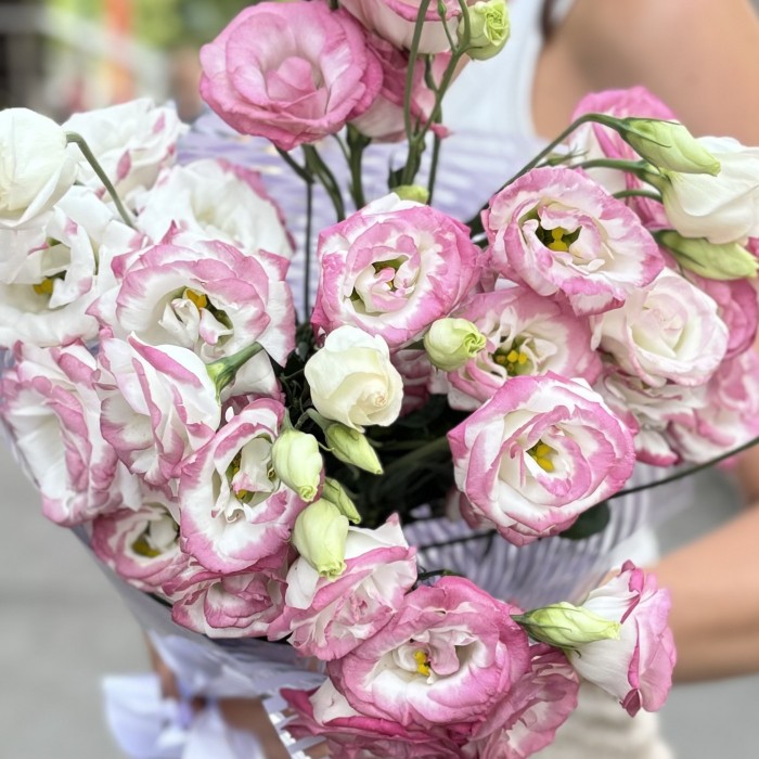 Букет из 9 бело-розовых эустом