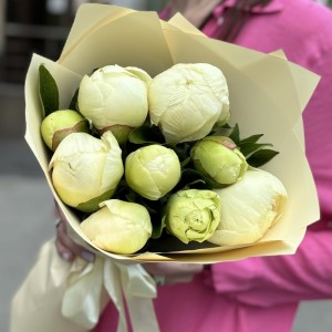 Букет из 9 лимонных пионов