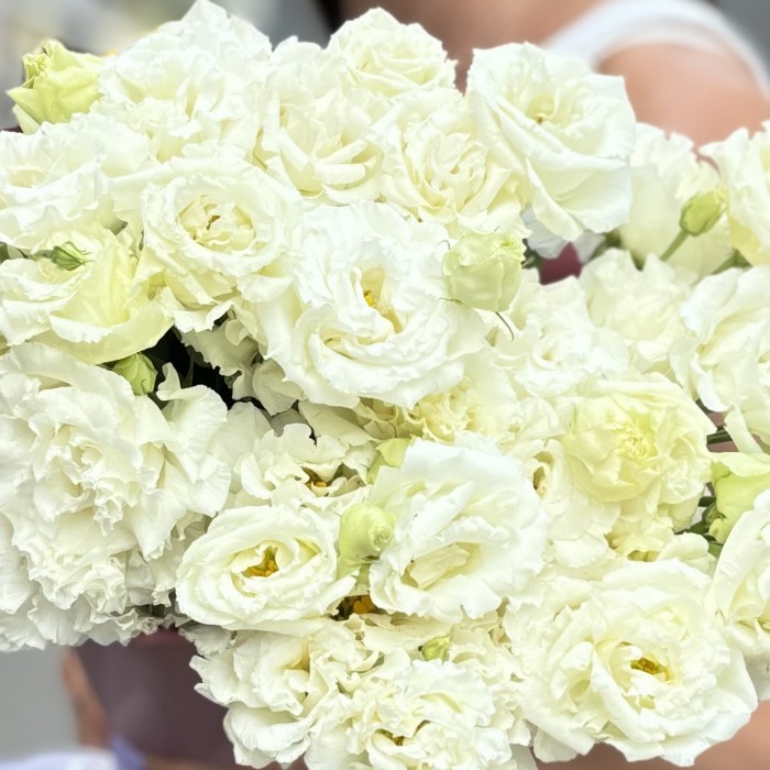 Букет из 9 махровых белых эустом