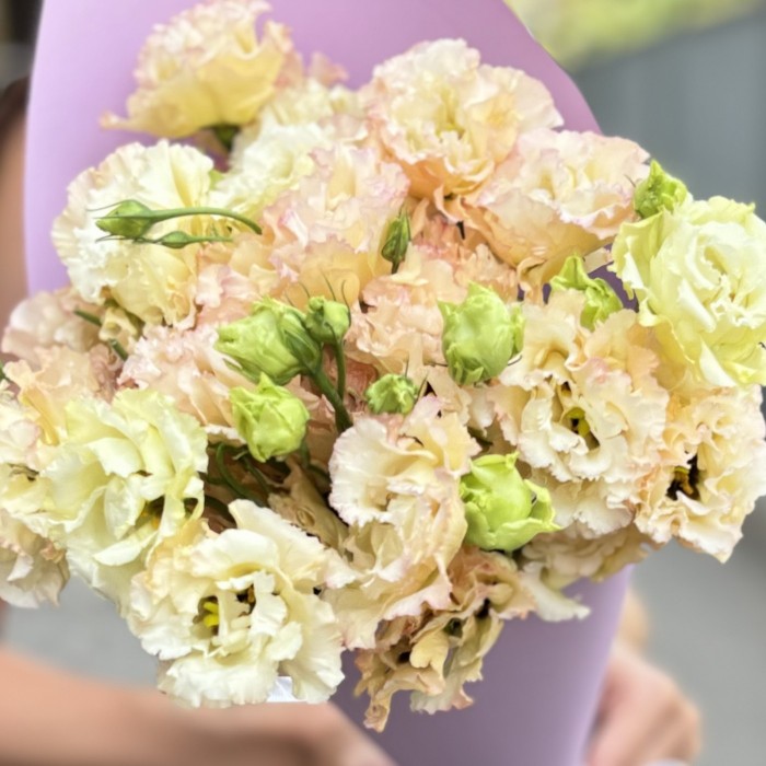 Букет из 9 махровых эустом Шампань