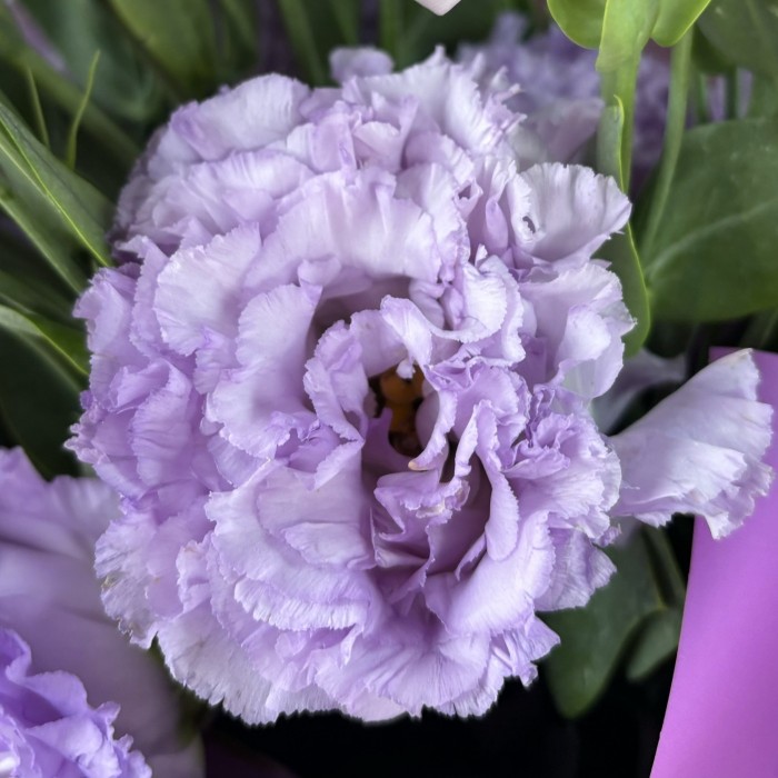 Букет из 9 махровых лавандовых эустом