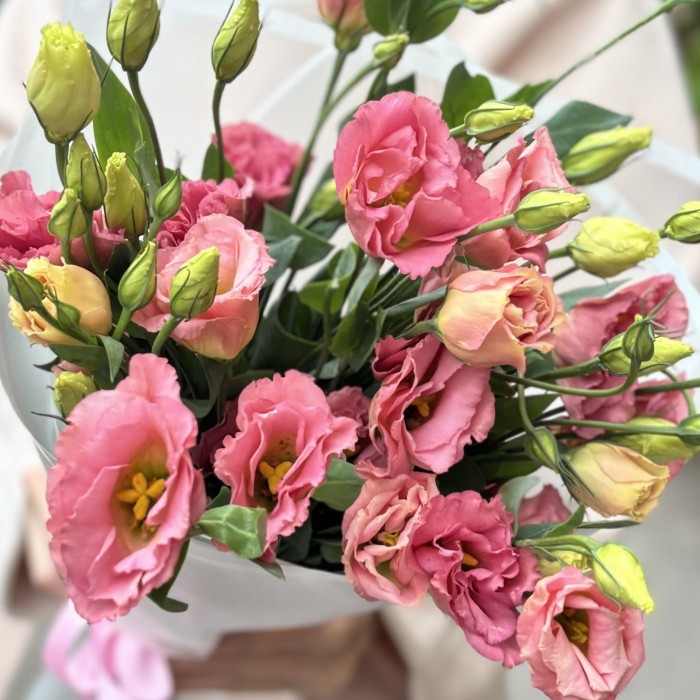 Букет из 9 розовых эустом