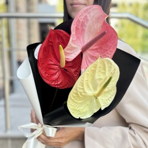 Букет из антуриума