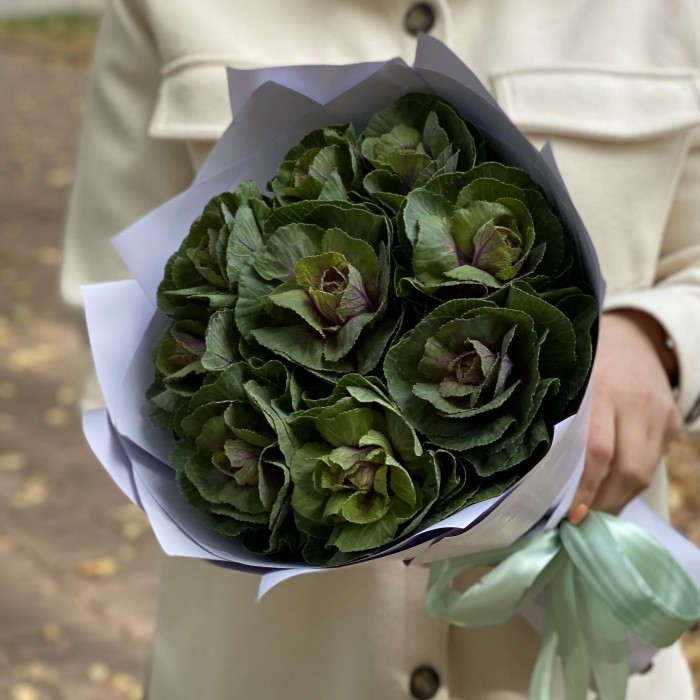 Букет из брассики Элеганс