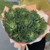 Букет из брассики Крайн Кинг
