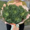 Букет из брассики Крайн Кинг