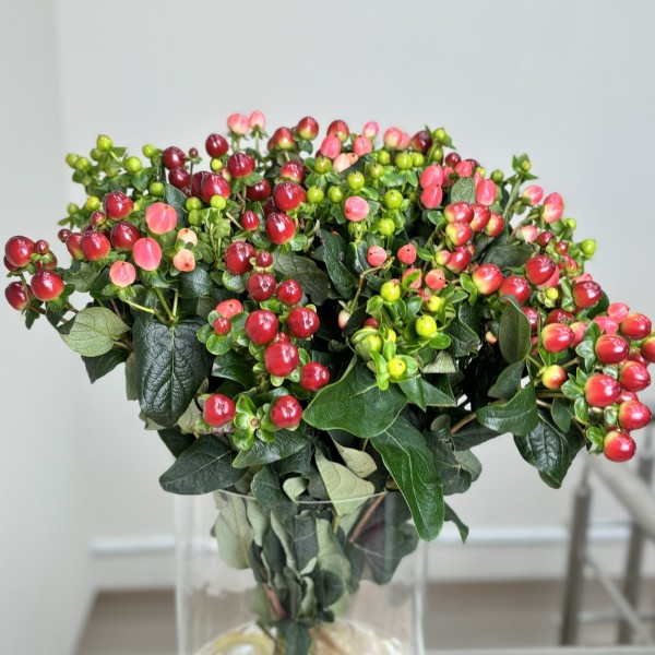 Букет из гиперикума Микс