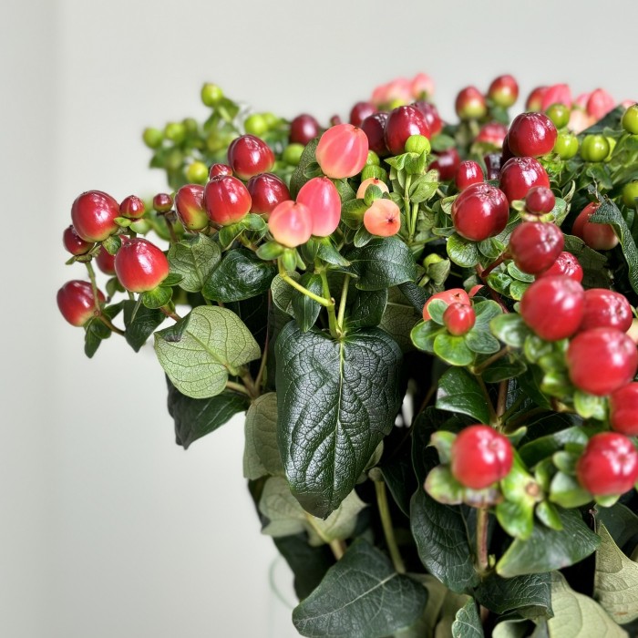 Букет из гиперикума Микс