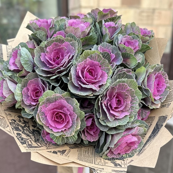 Букет из кустовой брассики Светлана