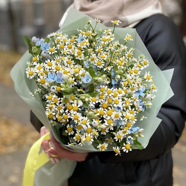 Букет из ромашек с оксипеталумом