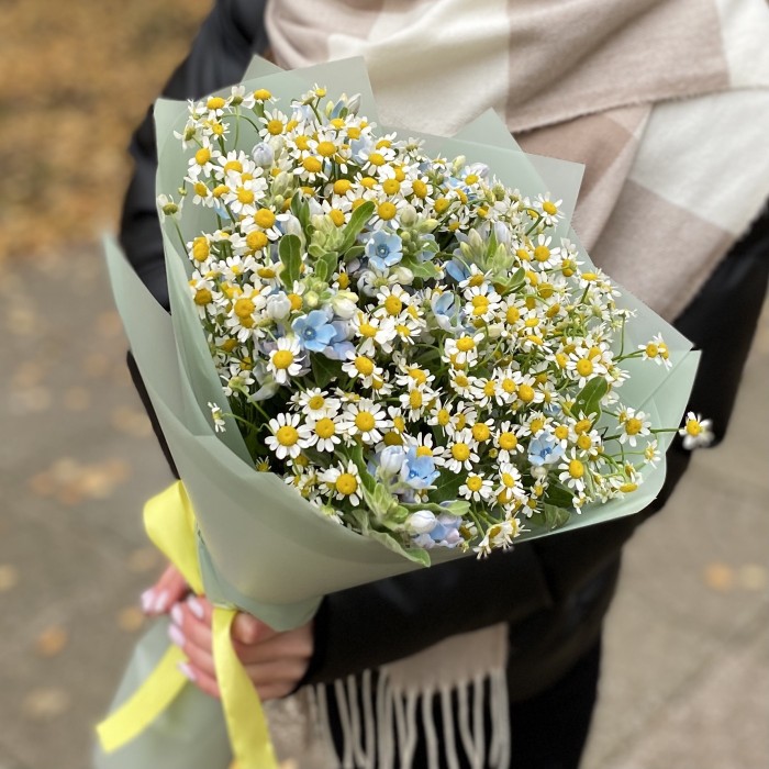 Букет из ромашек с оксипеталумом