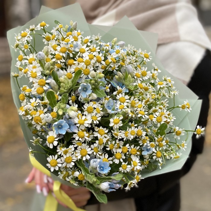 Букет из ромашек с оксипеталумом