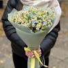 Букет из ромашек с оксипеталумом