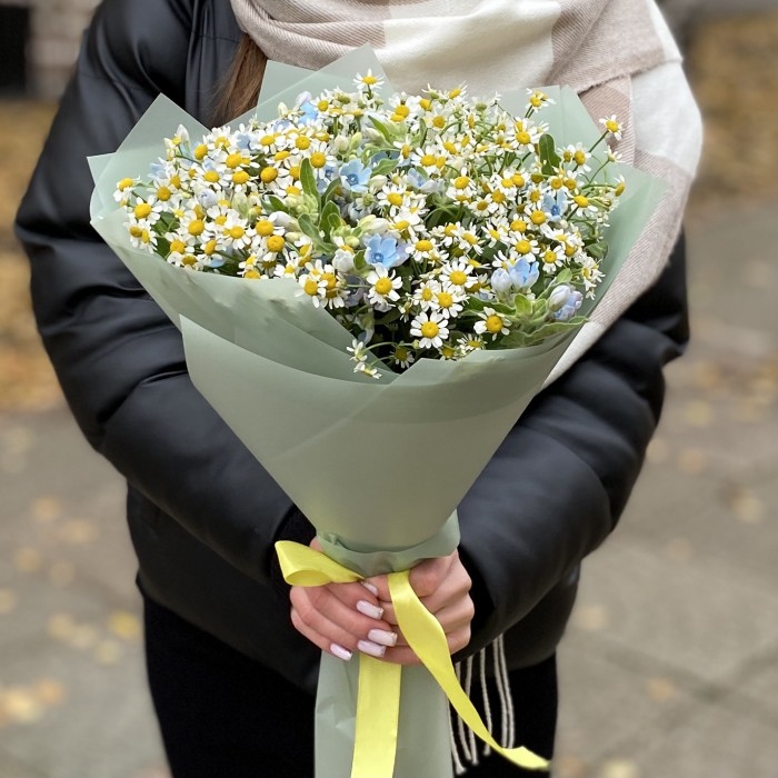 Букет из ромашек с оксипеталумом
