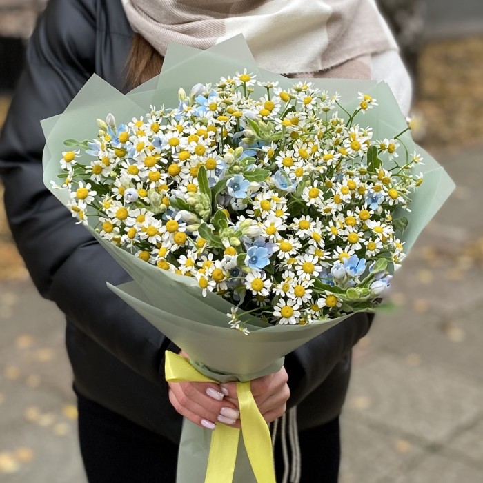 Букет из ромашек с оксипеталумом