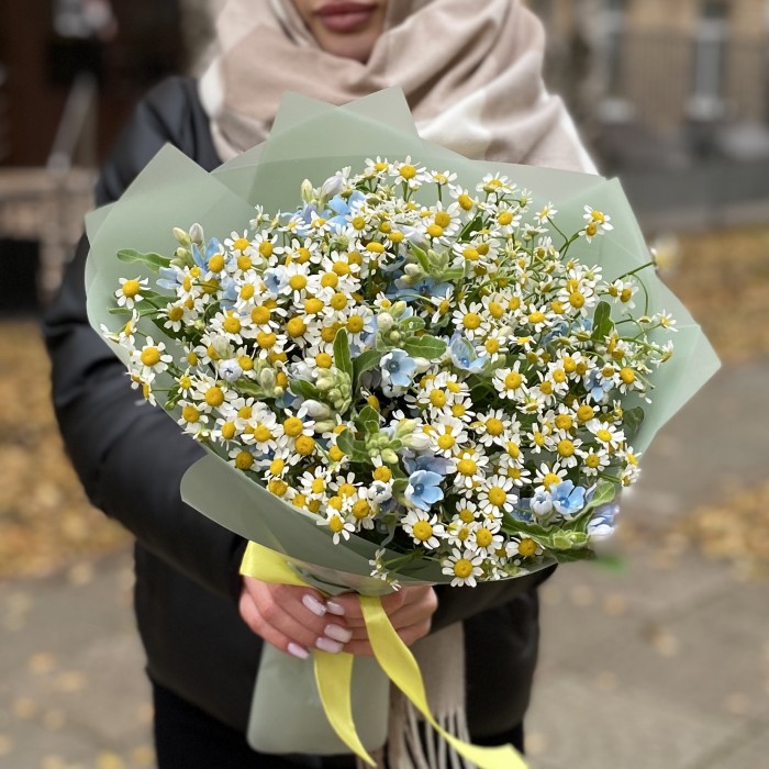 Букет из ромашек с оксипеталумом