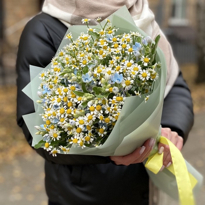 Букет из ромашек с оксипеталумом