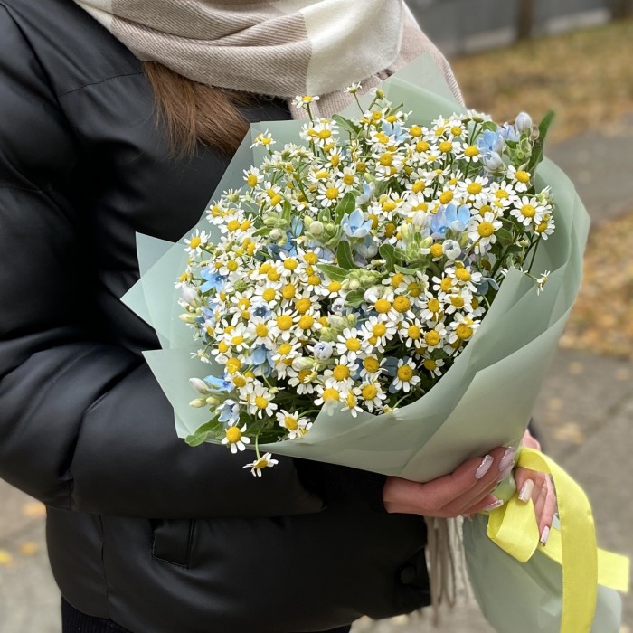 Букет из ромашек с оксипеталумом